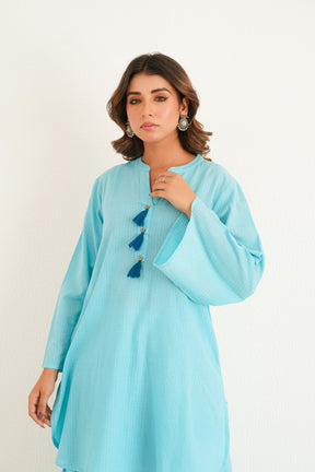 Aqua Solid Farsi Salwar Coord Set - Tara - C - Tara
