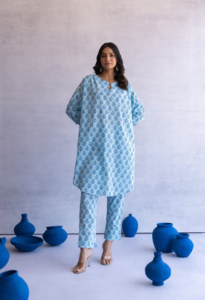 BLUE HAND BLOCK PRINTED PAN BUTI COORD SET - Tara - C - Tara