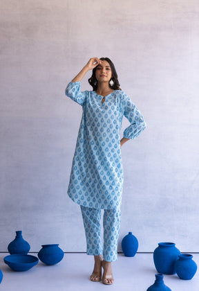 BLUE HAND BLOCK PRINTED PAN BUTI COORD SET - Tara - C - Tara