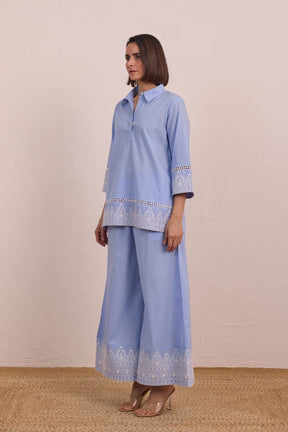 Powder Blue Embroidered Co - ord Set - Tara - C - Tara