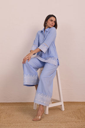 Powder Blue Embroidered Co - ord Set - Tara - C - Tara