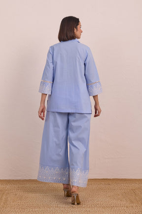 Powder Blue Embroidered Co - ord Set - Tara - C - Tara