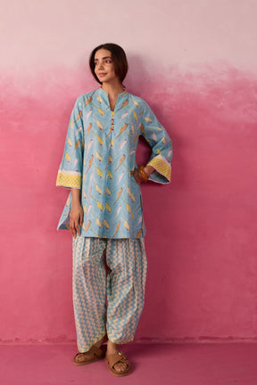 Sky Blue Parakeet Print Cotton Farsi Salwar Co-ord Set - Tara-C-Tara